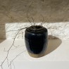 Jarre céramique noire ancienne pour une décoration authentique - pH7